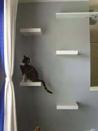 Cat Shelves Made With Ikea Lack Shelves I Might Have To Do This In My Office So My Kittens Stay Off My Dressers And C Cat Wall Shelves Cat Shelves Cat
