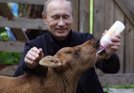 How much is vladimir putin actually worth? Wladimir Putin Ein Toller Hecht Trifft Tiger Politik Sz De