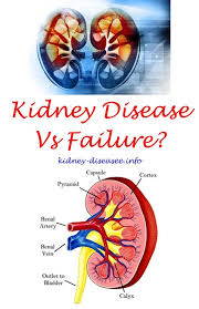 Renal Diet Side Dishes Renal Failure Recipes Kidney Disease Awareness Kidney Failure Causes