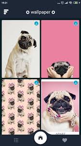 Dogs pugs puppies ringtones and wallpapers. Cute Pug Puppies Wallpaper Hd For Android Apk Download