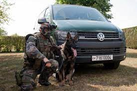 images?q=tbn:ANd9GcRlv3YFOcU8cEkTON9g_TM