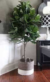 Plant Potted Plant Living Room Decoration Living Room Potted Plant Interior Decoration Indoor P Fake Plants Decor Fake House Plants Artificial Plants Decor