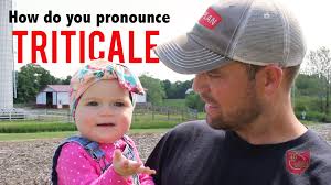 Jun 28, 2021 · pronunciation of country with 4 audio pronunciations. How Do You Pronounce Triticale Ohio Ag Net Ohio S Country Journal