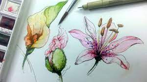 See more ideas about pen and watercolor, watercolor, watercolor paintings. How To Draw Paint Flowers With Ink And Watercolor Part 1 Youtube