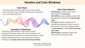 Image result for Color Blindness