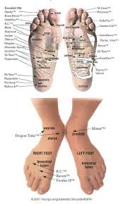 Vitaflex Foot Charts Marbella Guide