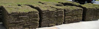 Follow the example above to calculate the number of rolls by dividing the total square footage by the square feet per roll. Sod Grass Pricing Sierra Vista Growers