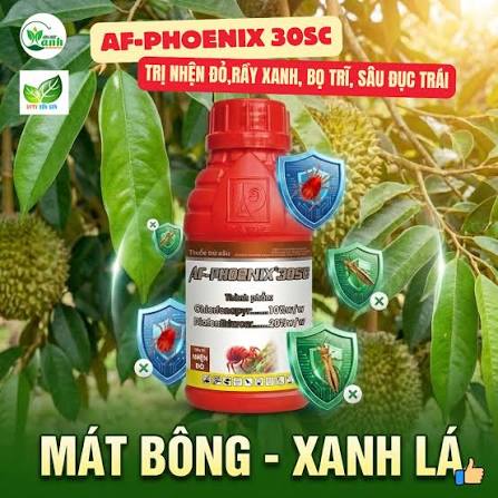 AF-Phoenix 30SC