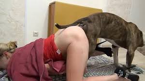 Long Dick Gif