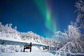 Order the service and find out immediately when the northern lights are visible. Searching For Northern Lights In Fairbanks Alaska Wander The Map