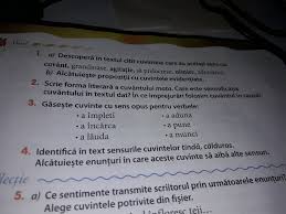 Artık bilgisayarınız üzerinden cuvinte cu sens opus! Gaseste Cuvinte Cu Sens Opus Pentru Verbele Brainly Ro