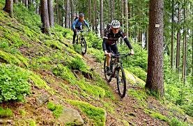 Trek is the world leader in mountain bike technology. Baden Wurttembergs Mountainbike Szene Im Trend Genussfahren Statt Runterholzen Baden Wurttemberg Stuttgarter Nachrichten