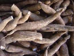 Start studying uworld poisoning and antidote. Beware The Smell Of Bitter Almonds The Source Washington University In St Louis