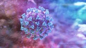 Australian Firm Says Nasal Spray Reduced Coronavirus Growth In Animal Study Pharmalive