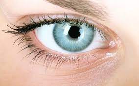 But a lot goes into melanin — eye color is a polygenic trait, which means that multiple genes determine it. How To Say Blue Eyes In Spanish What Is The Meaning Of Ojos Azules Ouino