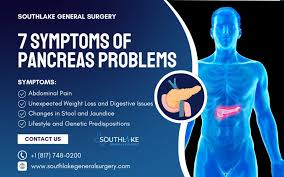 Image result for pancreas location