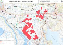 In the early 2000s the species was still distributed throughout the réserve naturelle nationale des coussouls de crau (hochkirch et al., reference hochkirch, tatin and stanley price 2014), but has declined dramatically since then, without any obvious changes of the habitat. La Plaine De Crau Ouest De La Provence
