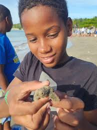 Dr. Camilo Trench represents UWI-DBML, Jamaica and the Caribbean this week  at the 1st International Mangrove Conservation and Restoration Conference  in Abu Dhabi, UAE! This conference brings together global experts, and we