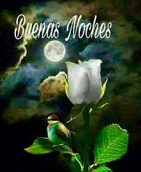 Pin De Maria Eugenia Mora Rosas Em Buenas Noches Y Dulces Suenos Imagens Fantasticas Boa Noite Frases De Deus
