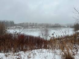 Good morning, Oakville! Here's today's weather!