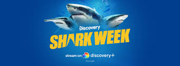 It's like the trivia that plays before the movie starts at the theater, but waaaaaaay longer. Shark Week Videos Facebook