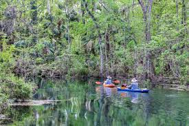 It is well worth seeing all that they have to offer here. The Best Things To Do In Silver Springs State Park Florida
