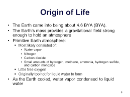 Biology Sylvia S Mader Michael Windelspecht Chapter 18 Origin And History Of Life Lecture Outline Copyright C The Mcgraw Hill Companies Inc Permission Ppt Download
