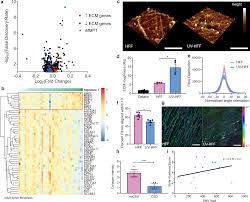 Opera browser has integrated social messengers in the sidebar so you can easily chat without the need to pick up your phone or switch. Ultraviolet Light Induced Collagen Degradation Inhibits Melanoma Invasion Nature Communications
