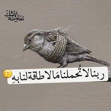pin by ذكرى ميار on صور أطفال in 2020 animals bird words