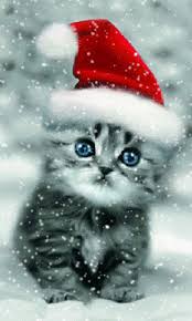 Free christmas kitten coloring page printable. Explore And Share Cats In Winter Wallpaper Free 480x800 Winter Cat 480x800 Screensaver Wallpaper Screensaver Christmas Cats Christmas Kitten Christmas Animals