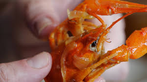 Questa ricetta è un vero spettacolo, e in più è anche un pezzo di storia. Oggimangio Bigoli Con Gamberi Di Fiume Vivi 4k Youtube