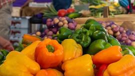 Oak Island Farmers and Artisans Market