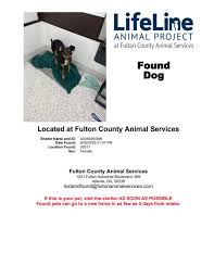 Rehoming a rabbit in New Castle/Henry County, Indiana