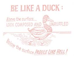 Because it rhymes with luck. see, my daddy always told me to be just like a duck. Be Like A Duck Making It Lovely