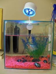 The type of water used in the. Blog Posts Katharine S Crawling Creatures