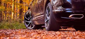 Der wert kann sich natürlich ändern, das jahr ist noch nicht abgeschlossen. Gefahren Beim Autofahren Im Herbst Fahrtraining De