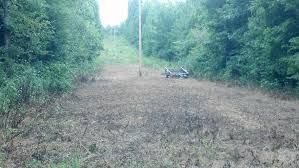 As herbaceous foods diminish through summer, fall food plots can become attractive to wildlife. First Time Food Plot Clover Oats Huntingnet Com Forums