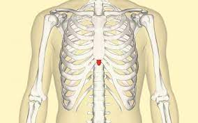 Xiphoid Process Pain Lump And Removal