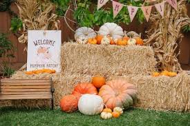 Pumpkin Patch Birthday Party Decorations Party Partyideas Pumpkin Patch Birthday Party Pumpkin Patch Birthday Pumpkin Birthday Parties