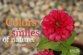 Colors Are The Smiles Of Nature Love This Quote Quotes Flowers Garden Quotes Nature Quotes Instagram Posts