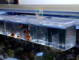 Aquarium Breeding Tank Fish Tank Betta Fish Aquarium