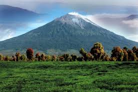 Gunung berapi ke tengah lukisan) terhalang oleh. Gambar Pemandangan Gunung Meletus
