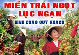 Ngẩn ngơ với những cây thốt nốt giữa cánh đồng. Trai Cay Lá»¥c Ngáº¡n Báº¯c Giang Posts Facebook
