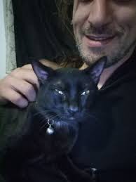 Does anyone know where this little fella lives. He's in my garden a lot and  trying to get in my house. Can't get close enough for a paper collar.  Thorpe lane Almondbury