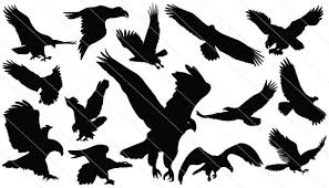 Birds Of Prey Logo Vector Flying Eagle Silhouette Vector Download Flying Eagle Vector Silhouette Vector Eagle Silhouette Eagle Vector