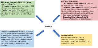 Image result for Nocturia