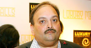 His family members are worried and anxious and had called me to discuss. Pnb Scam Accused Mehul Choksi Moves Delhi High Court Against Netflix S Bad Boy Billionaires