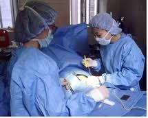 Comment choisir son potager d'intérieur ? Infirmier E Un Metier De Coeur Et D Action