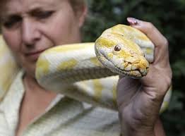 Bear attack highlights lax Ohio exotic pet laws