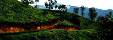Discover the perfect holiday in kerala, crafted just for you and your loved ones. Best Itinerary Of Family Holiday In Kerala Affordable Packages Kerala Tourism
